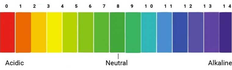 terminology2 Kangen Water Ionizer - Kangen Water